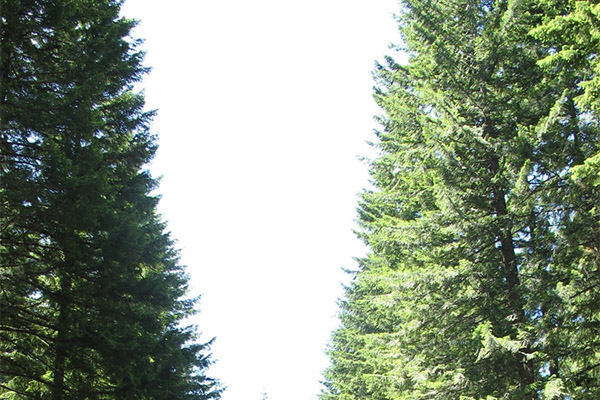 擁抱能源數字經濟 共話低碳綠色未來