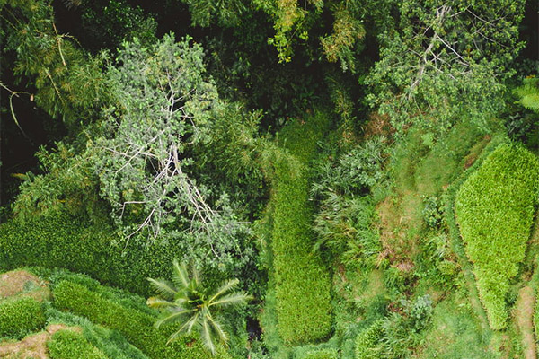 極端熱浪持續沖擊全球能源系統，中央空調系統顯身手！