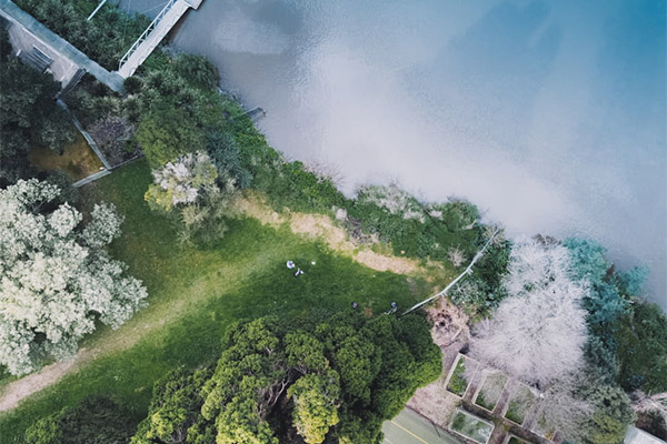 ?焦化行業碳達峰碳中和行動方案發布，這幾點值得關注！